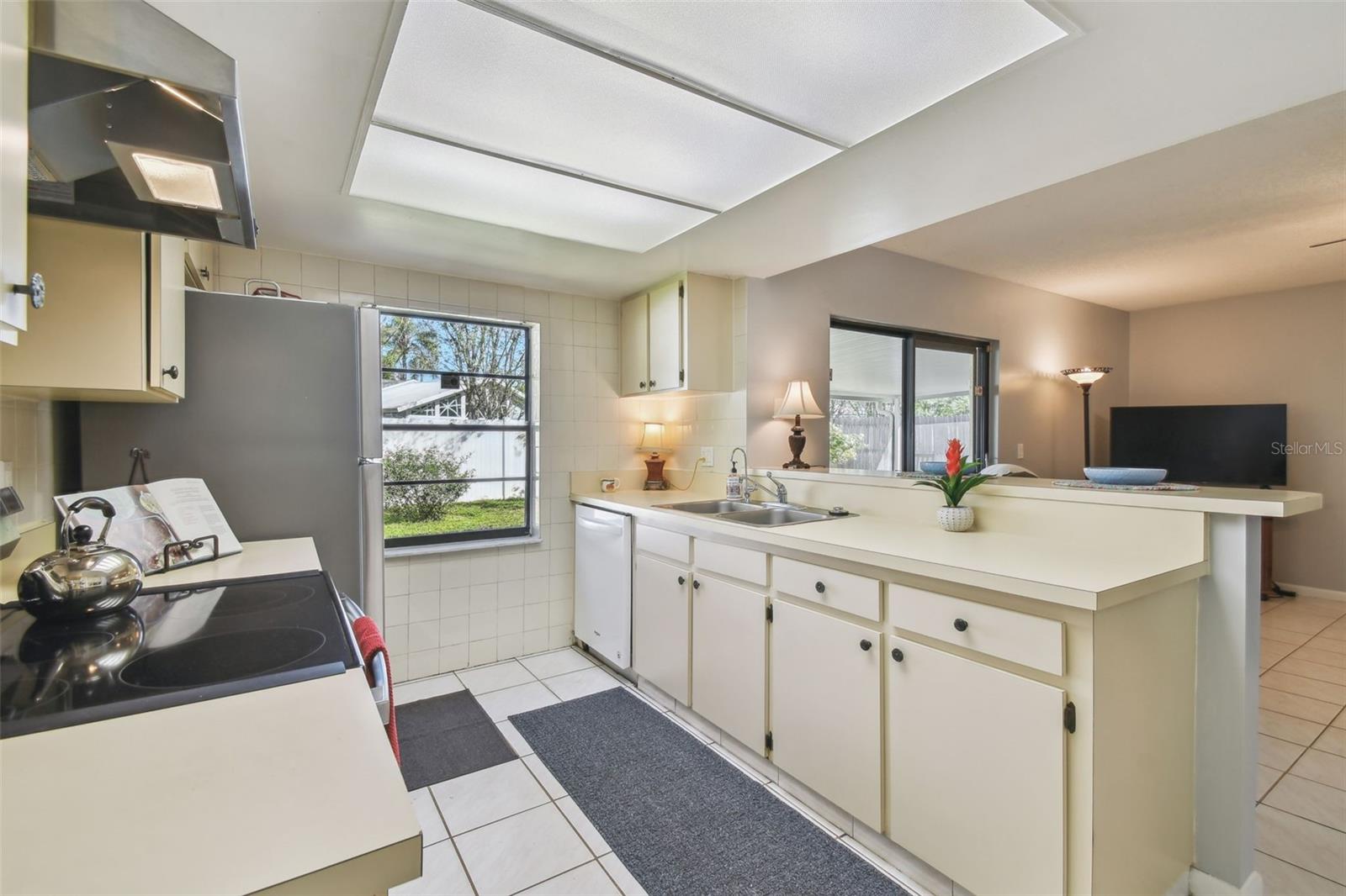 4015 MOUNTAIN SPRINGS LN, TAMPA, FL, 33624