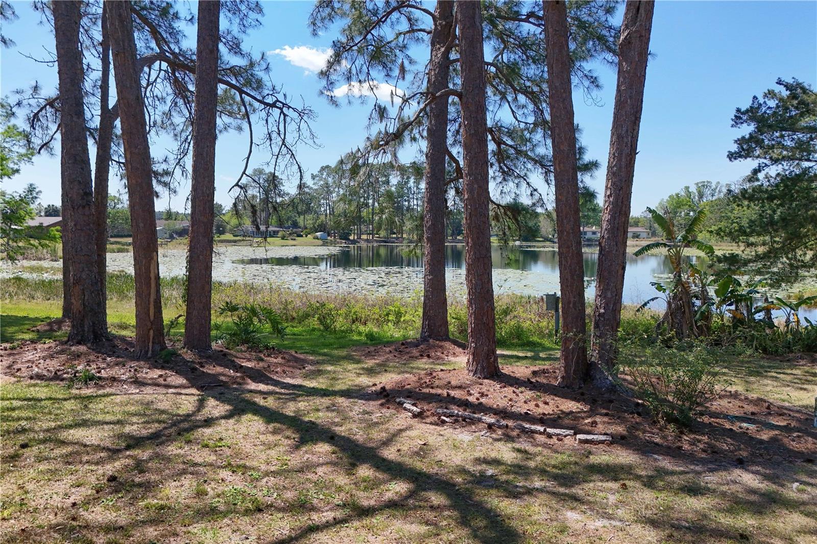 17108 PINE RIDGE DR, UMATILLA, FL, 32784