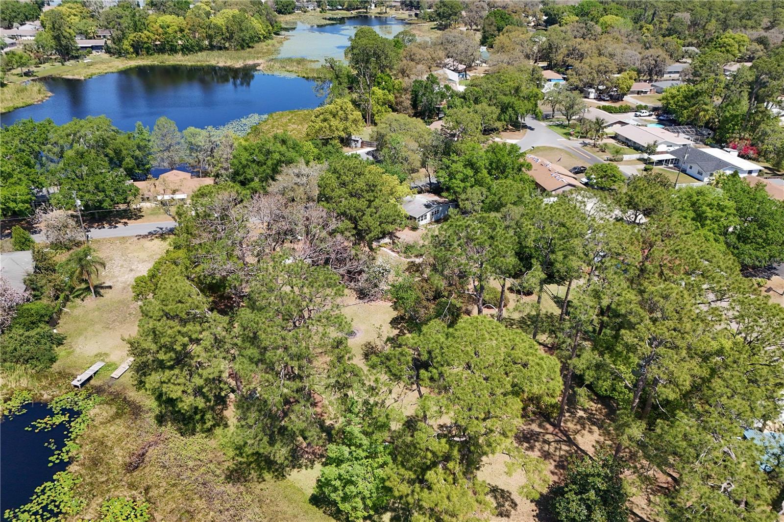 17108 PINE RIDGE DR, UMATILLA, FL, 32784