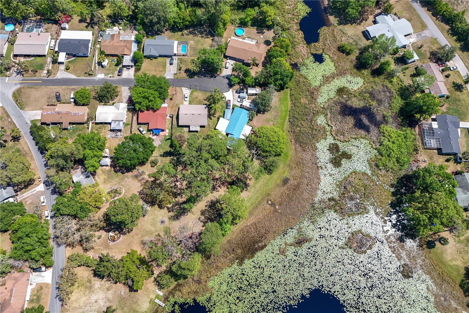 17108 PINE RIDGE DR, UMATILLA, FL, 32784