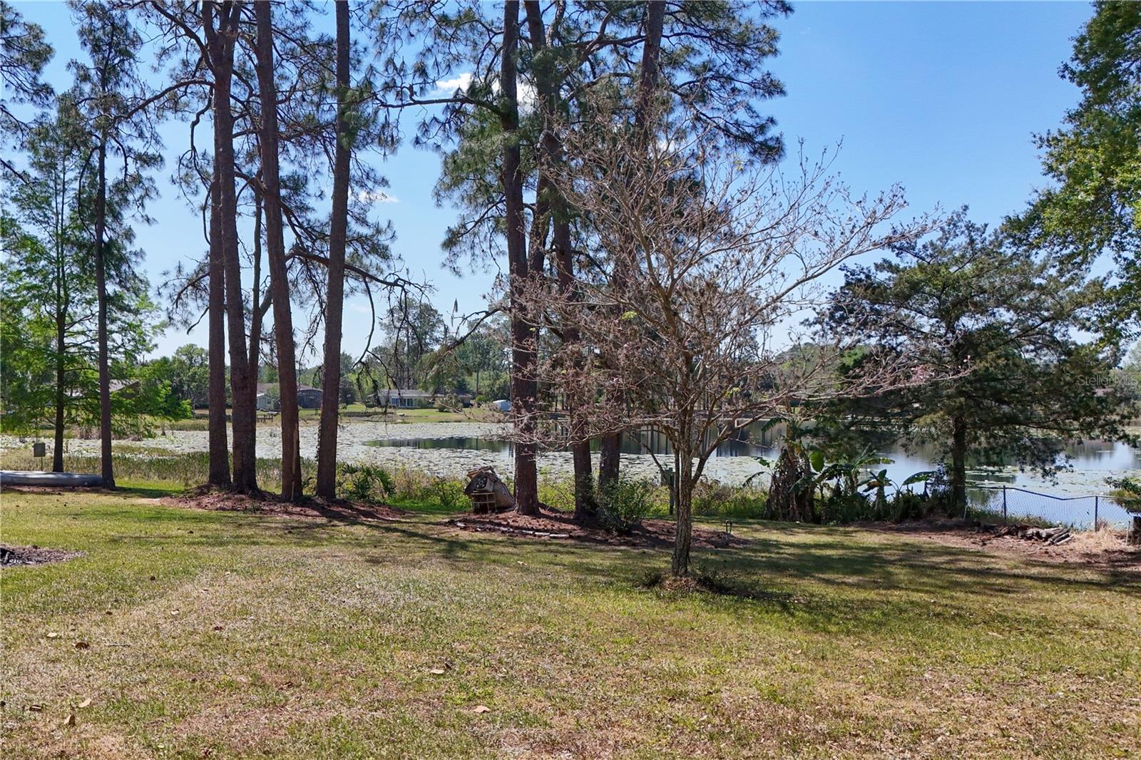 17108 PINE RIDGE DR, UMATILLA, FL, 32784