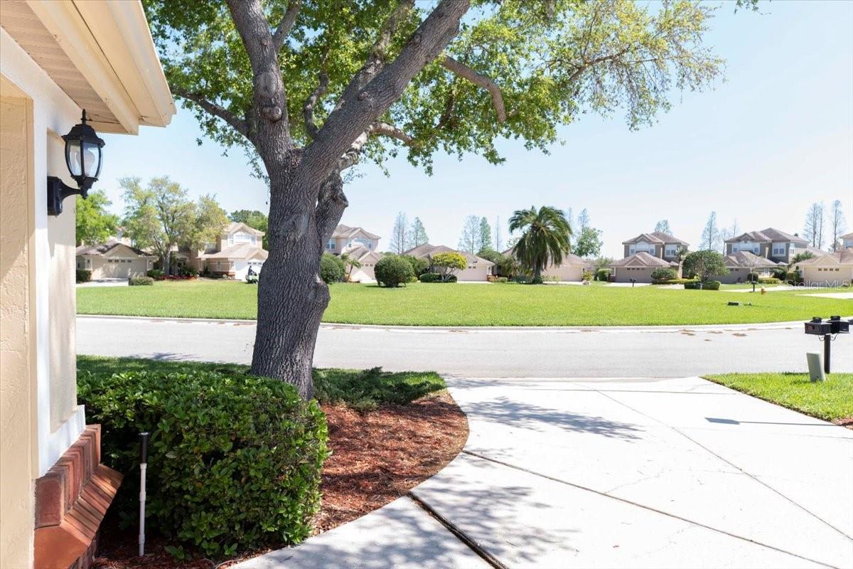 3071 SHOAL CREEK VILLAGE DR, LAKELAND, FL, 33803