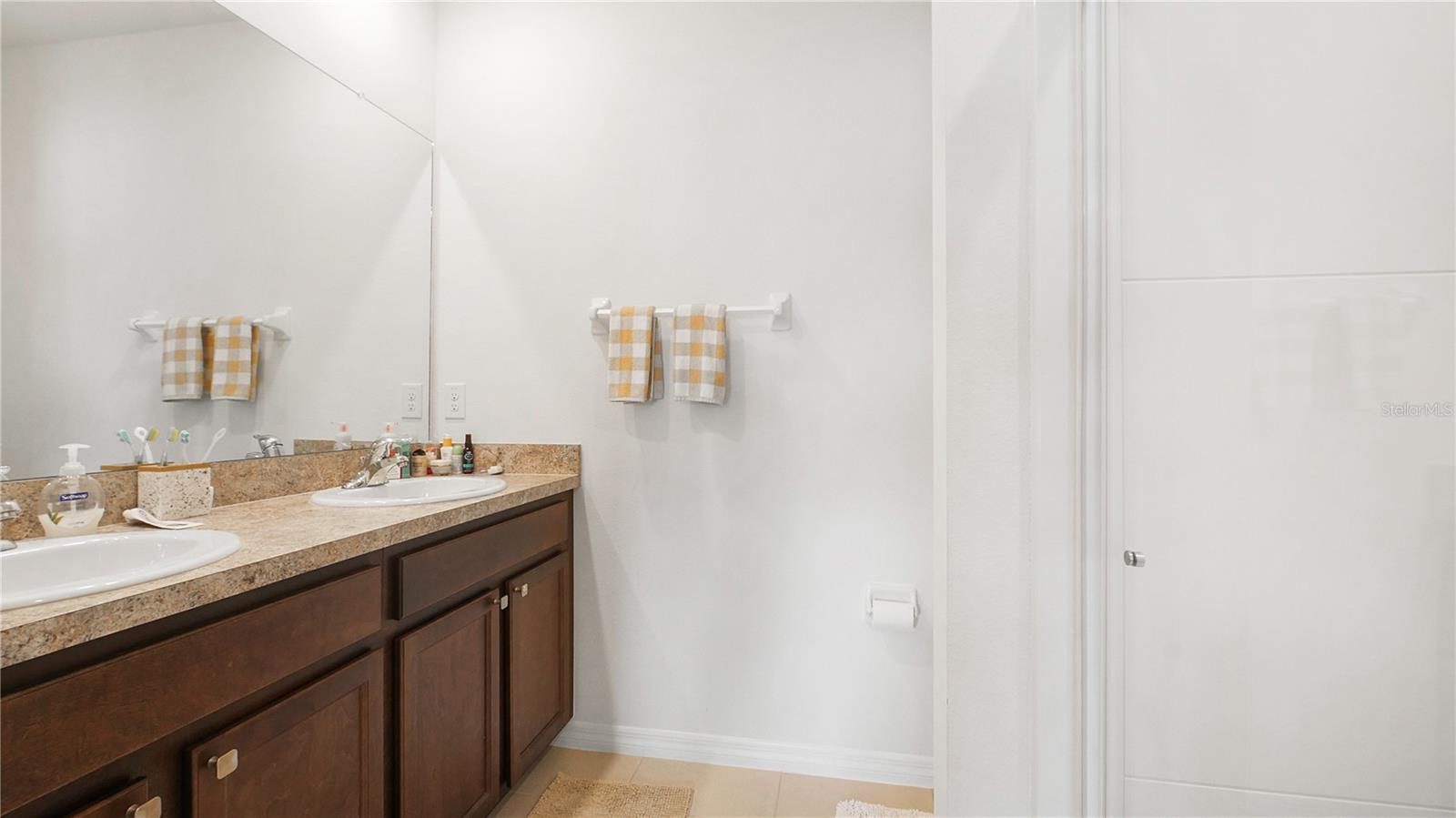 10914 PENNY GALE LOOP, SAN ANTONIO, FL, 33576