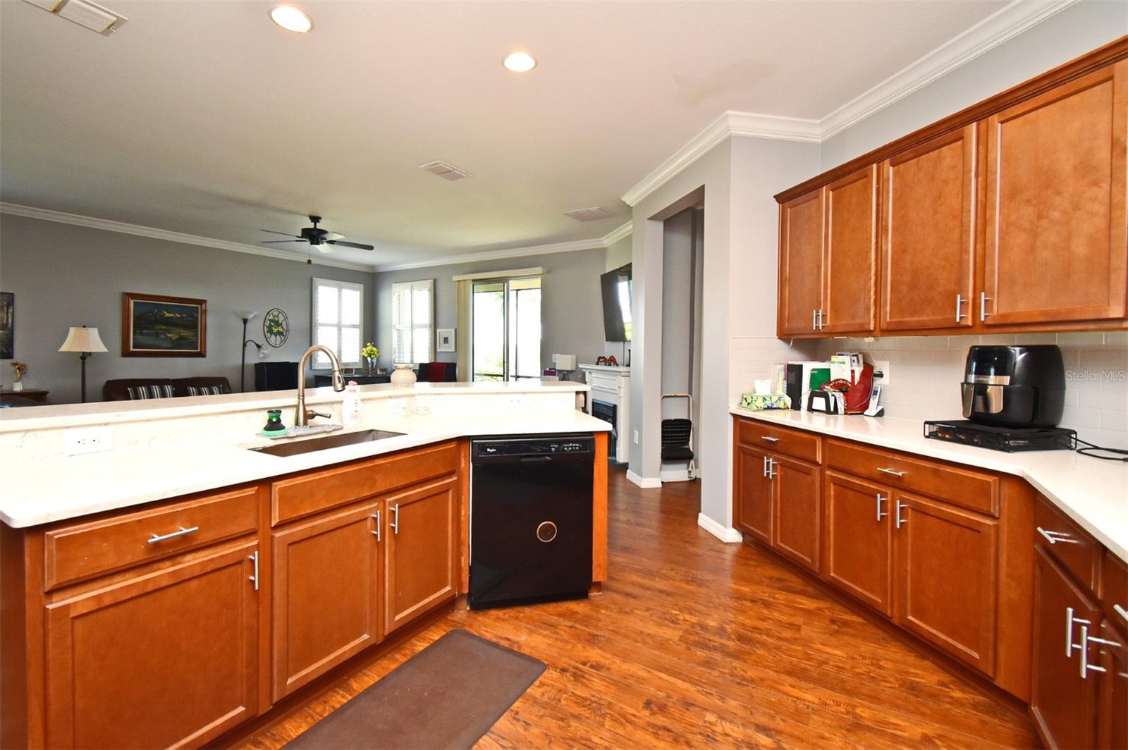 11235 WISHING WELL LN, CLERMONT, FL, 34711