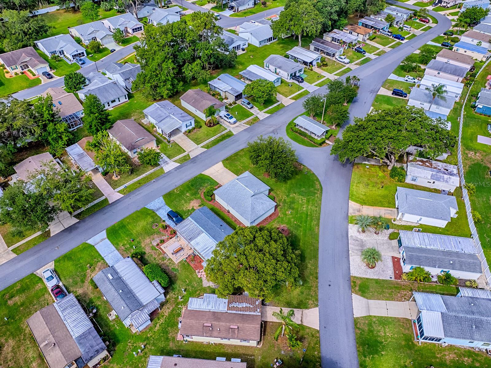 701 COTTAGE PARK LN, LEESBURG, FL, 34748