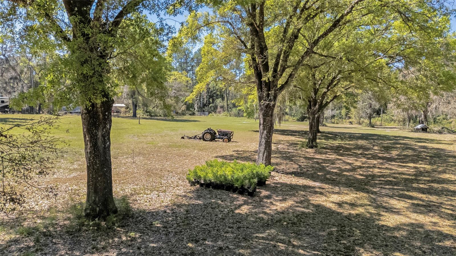 2910 MARSH RD, DELAND, FL, 32724