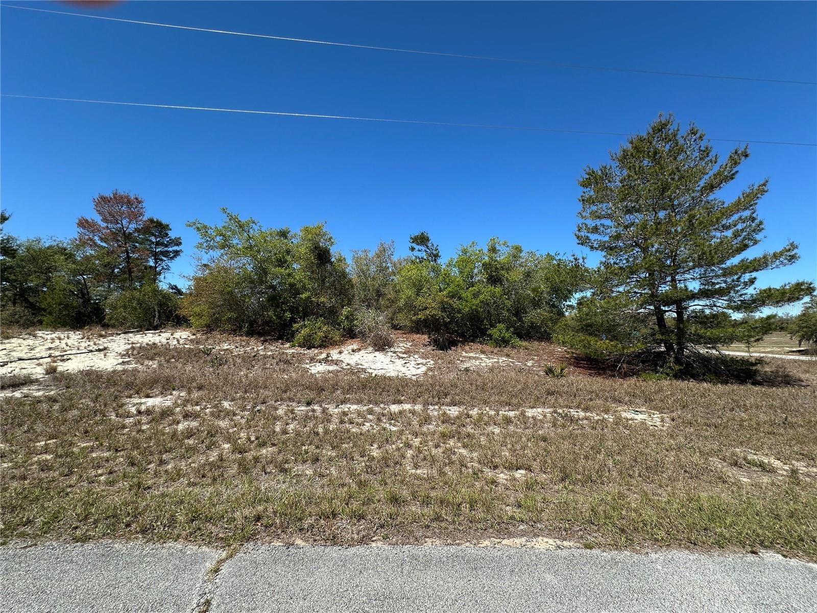 1386 HOMOSASSA DR, KISSIMMEE, FL, 34759