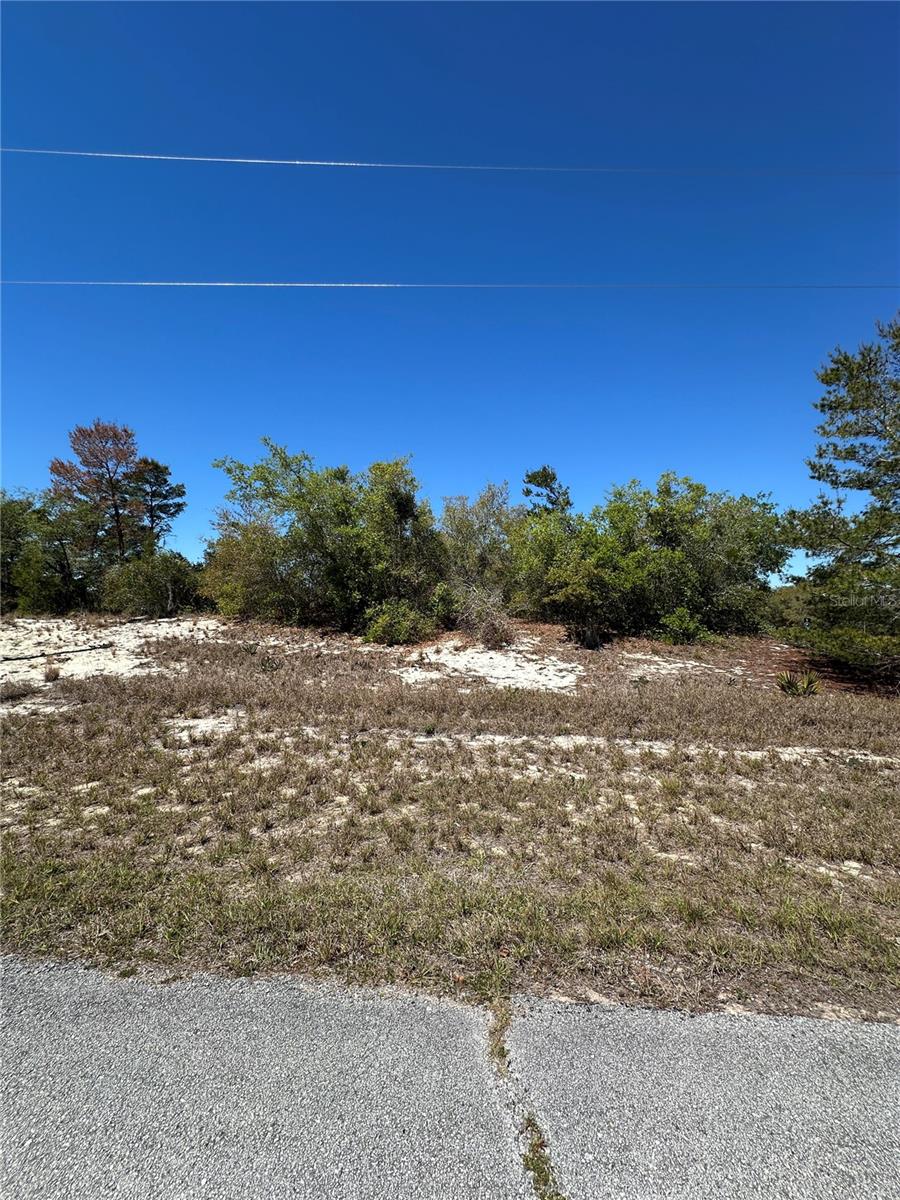 1386 HOMOSASSA DR, KISSIMMEE, FL, 34759