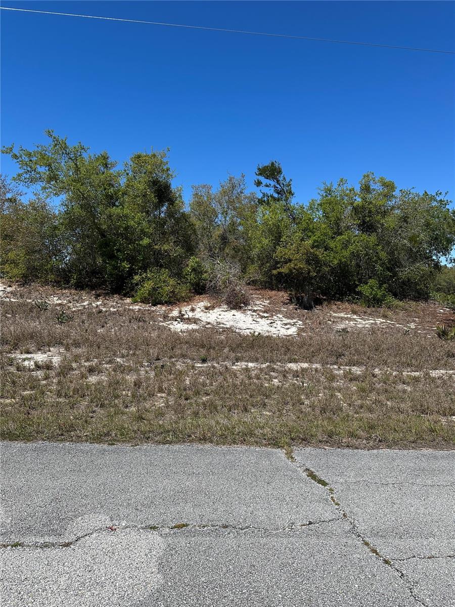 1386 HOMOSASSA DR, KISSIMMEE, FL, 34759