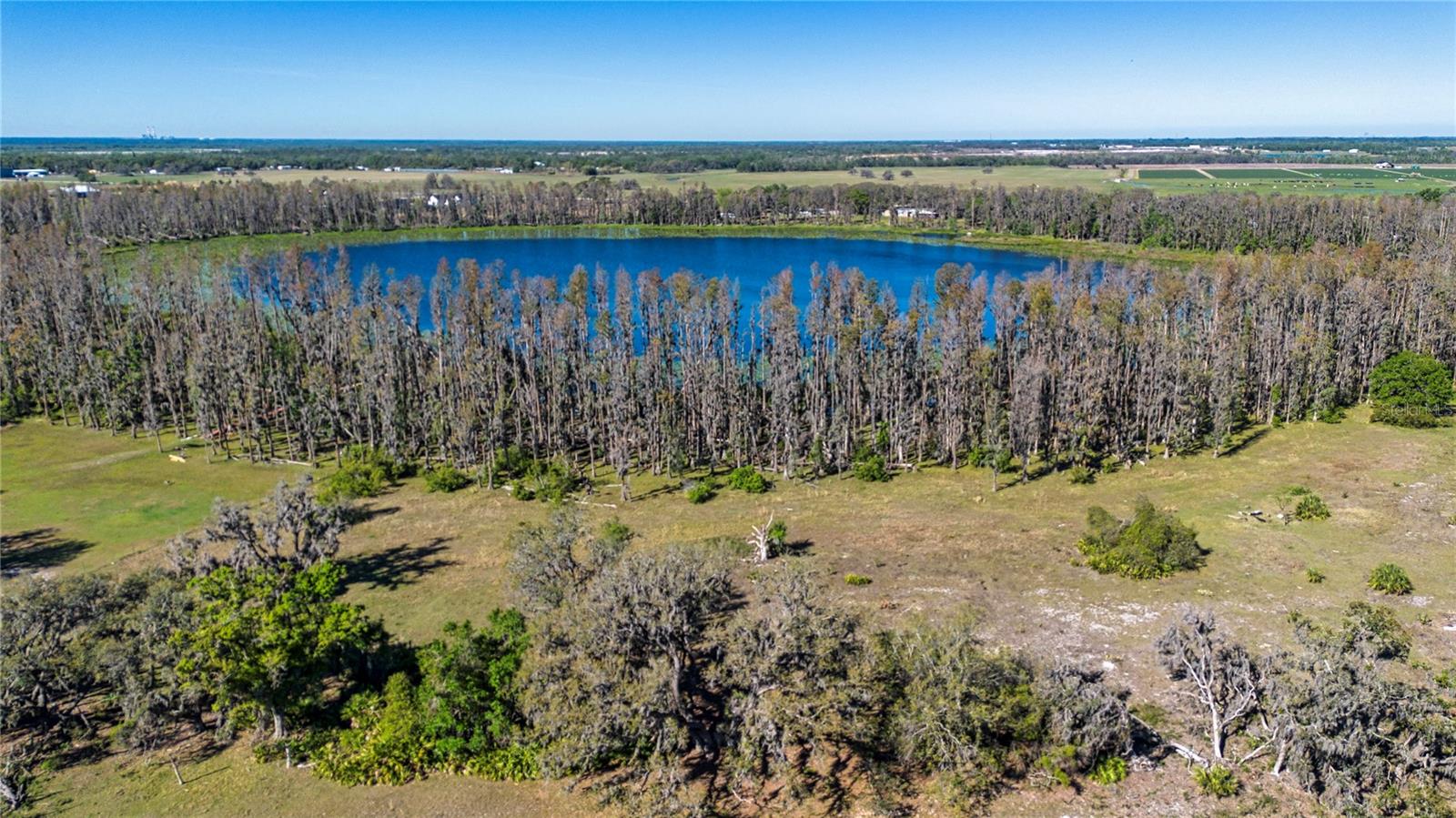 1 ALDERMAN TURNER RD, WIMAUMA, FL, 33598