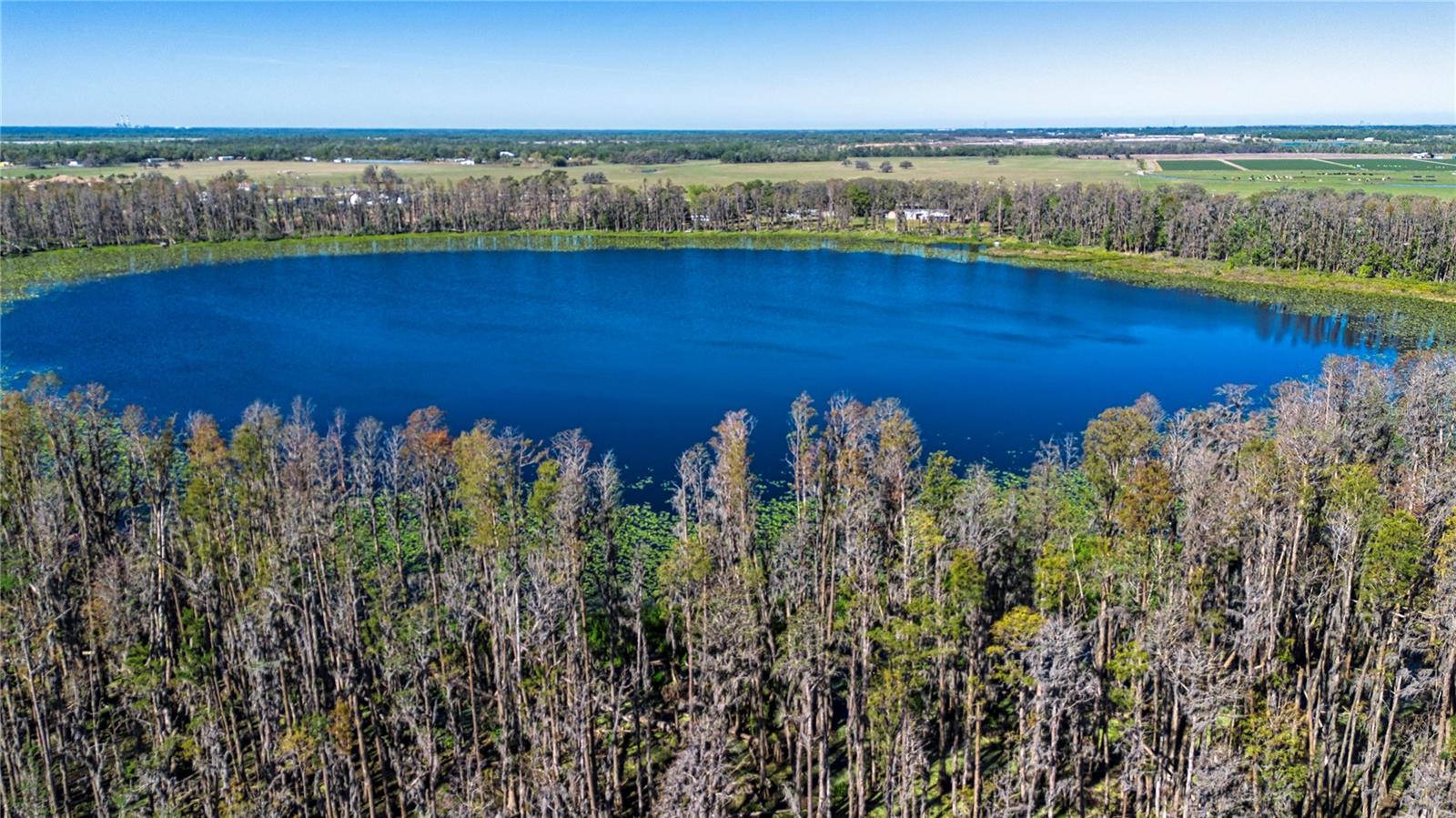 1 ALDERMAN TURNER RD, WIMAUMA, FL, 33598