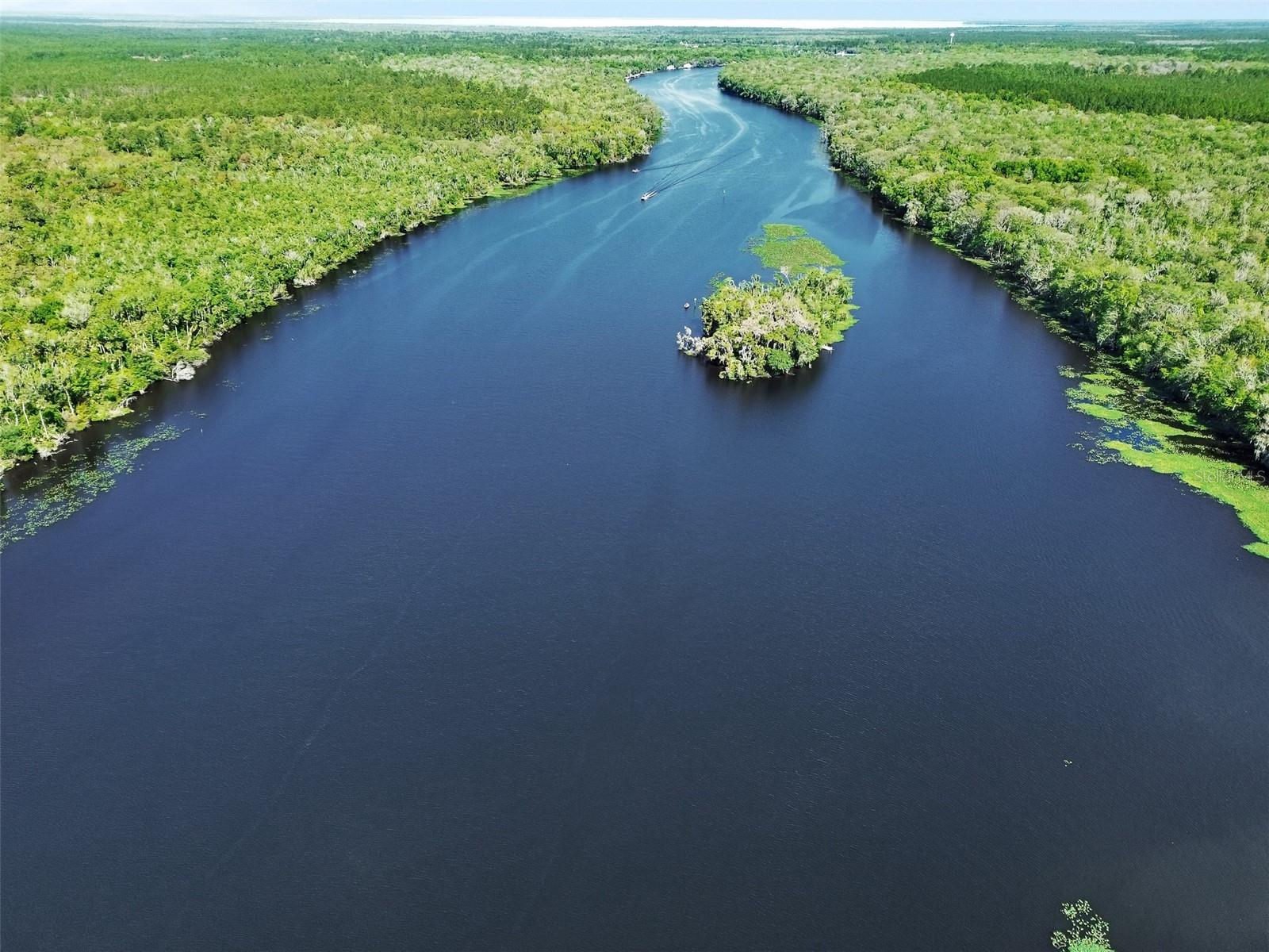 53731 RIVERTRACE RD, ASTOR, FL, 32102