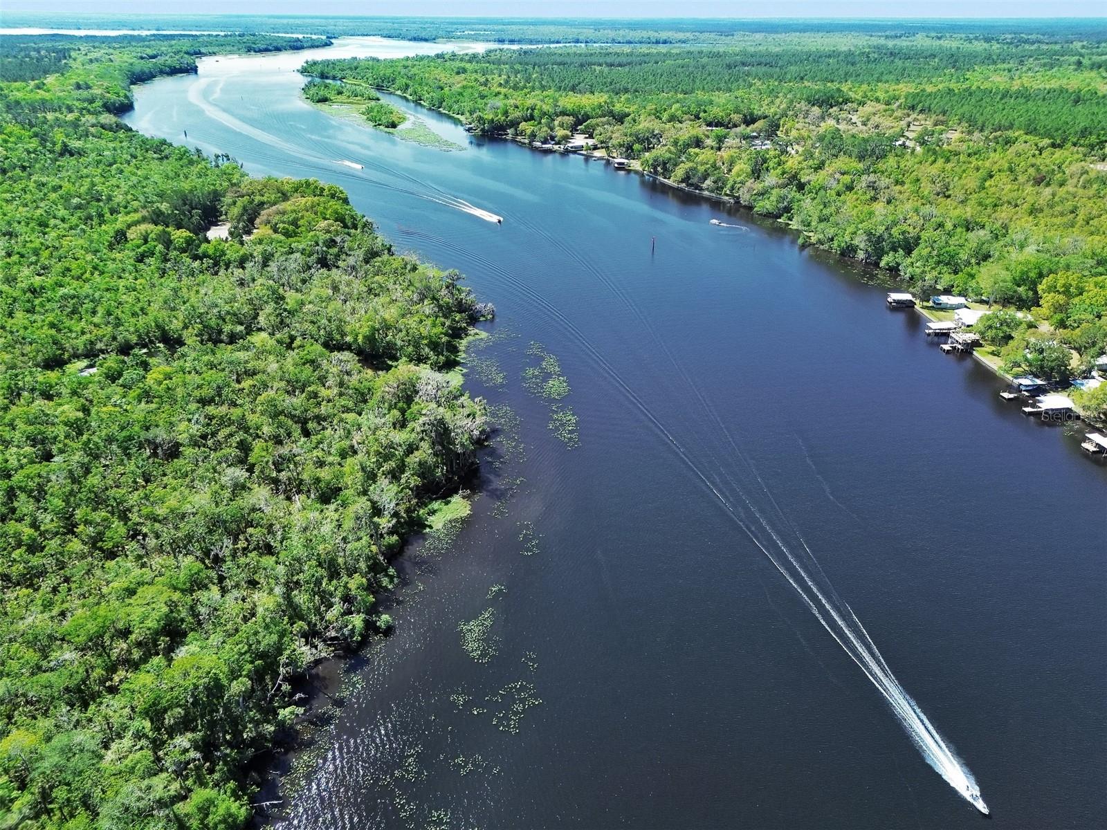 53731 RIVERTRACE RD, ASTOR, FL, 32102