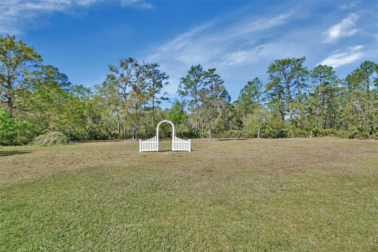 53731 RIVERTRACE RD, ASTOR, FL, 32102