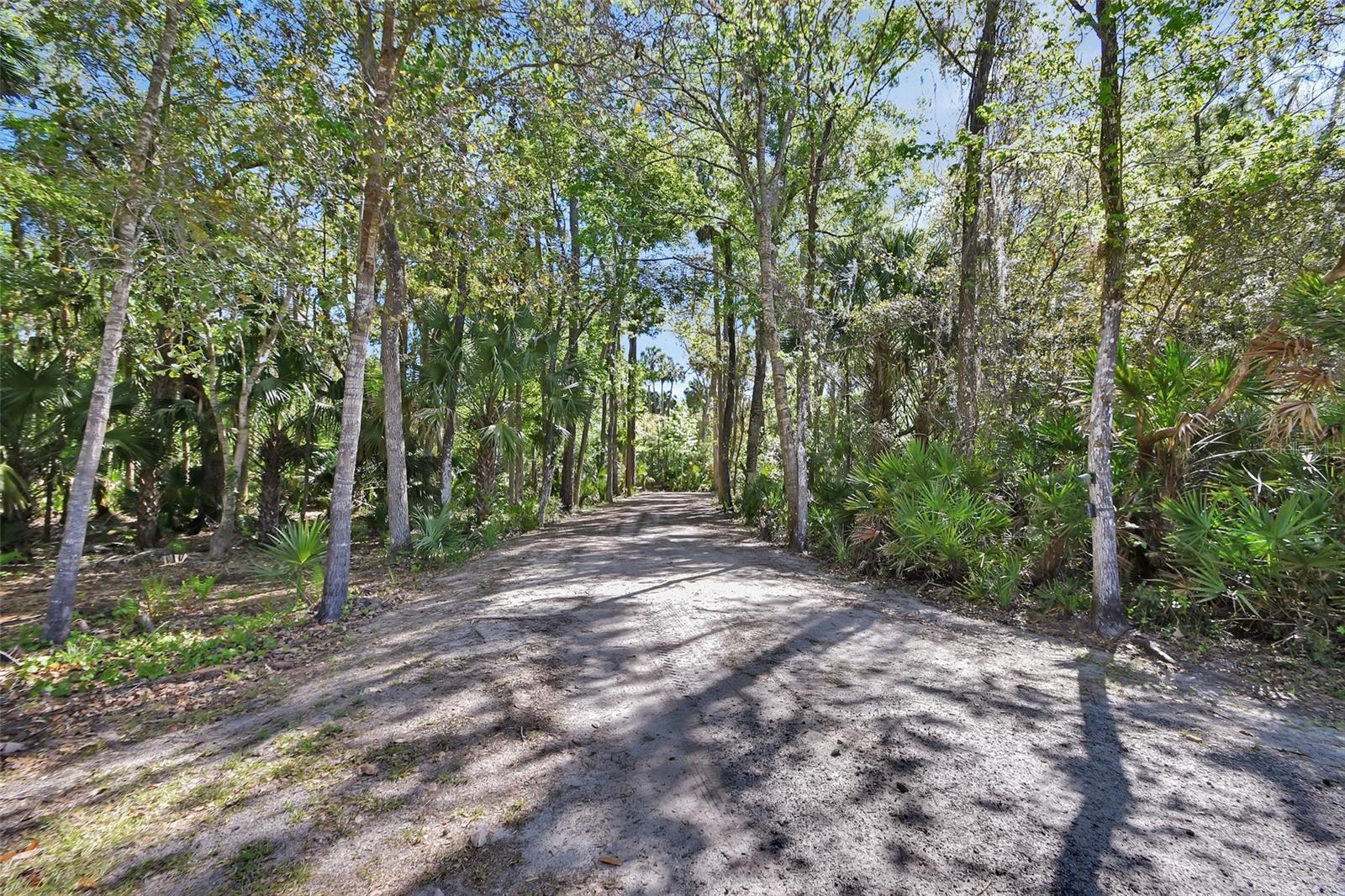 53731 RIVERTRACE RD, ASTOR, FL, 32102