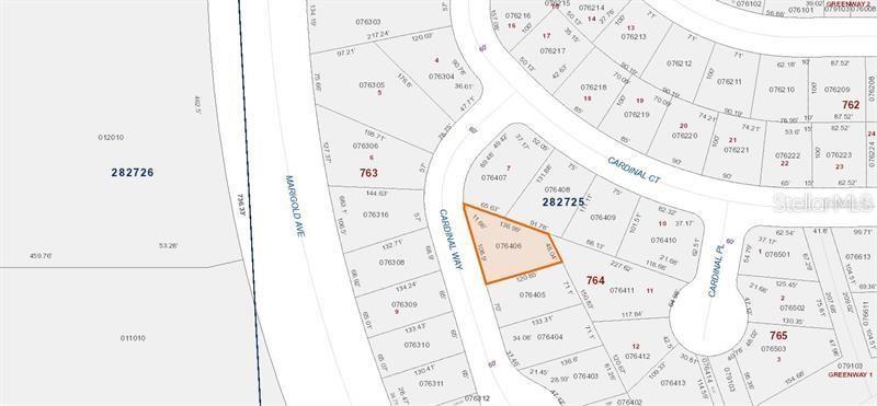 807 CARDINAL WAY, KISSIMMEE, FL, 34759