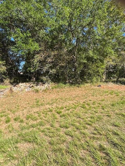 807 CARDINAL WAY, KISSIMMEE, FL, 34759