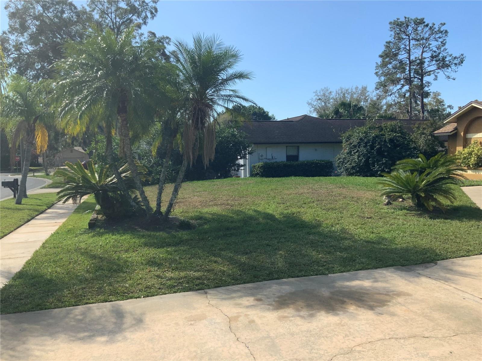 9110 PALM TREE DR, WINDERMERE, FL, 34786