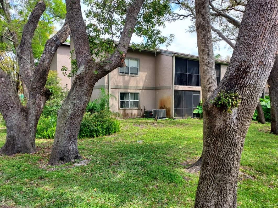 14207 SHADOW MOSS LN #102, TAMPA, FL, 33613