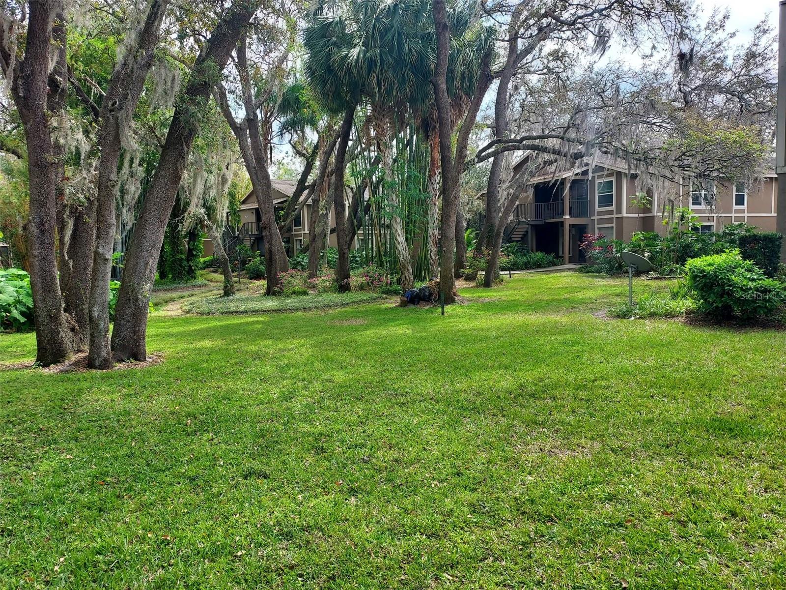 14207 SHADOW MOSS LN #102, TAMPA, FL, 33613
