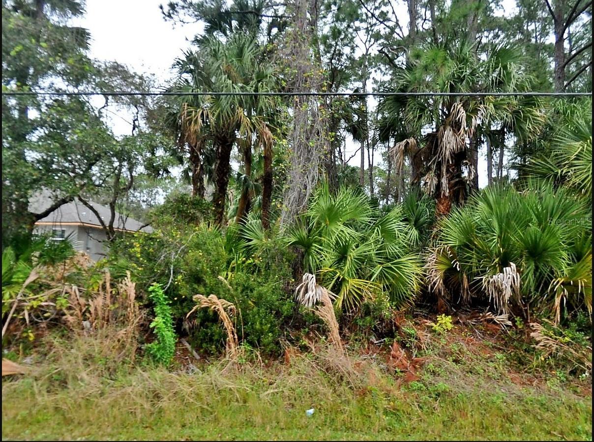 SARDINIA AVE, NORTH PORT, FL, 34286