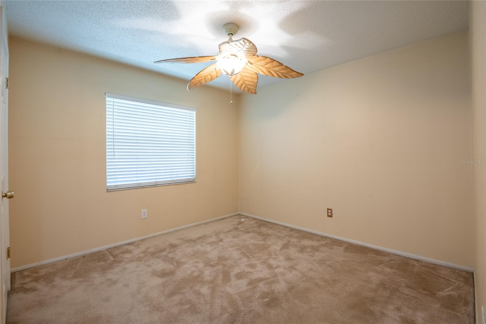 4944 CYPRESS TRACE DR, TAMPA, FL, 33624