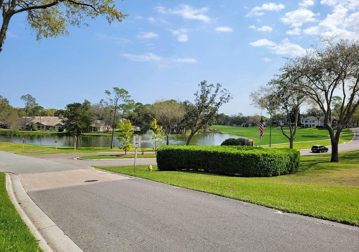 7392 MEADOW BROOK LN, SPRING HILL, FL, 34606