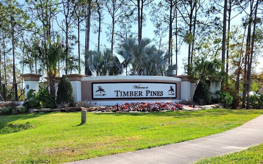 7392 MEADOW BROOK LN, SPRING HILL, FL, 34606