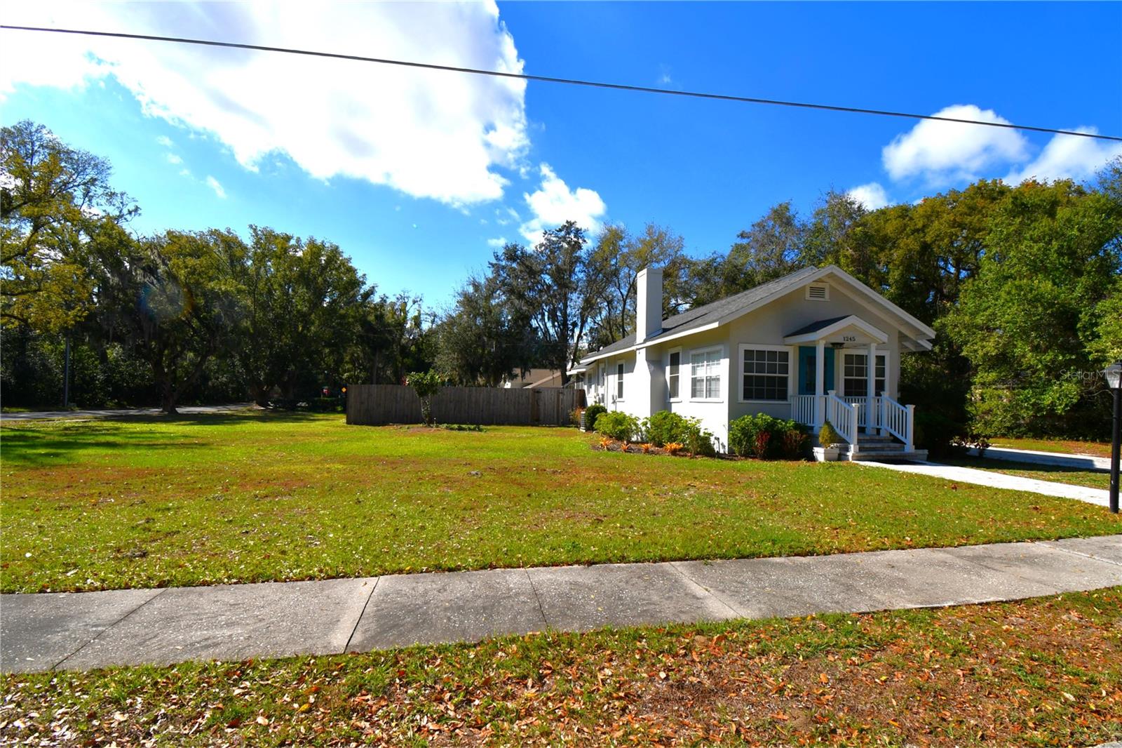 1245 N ALEXANDER ST, MOUNT DORA, FL, 32757