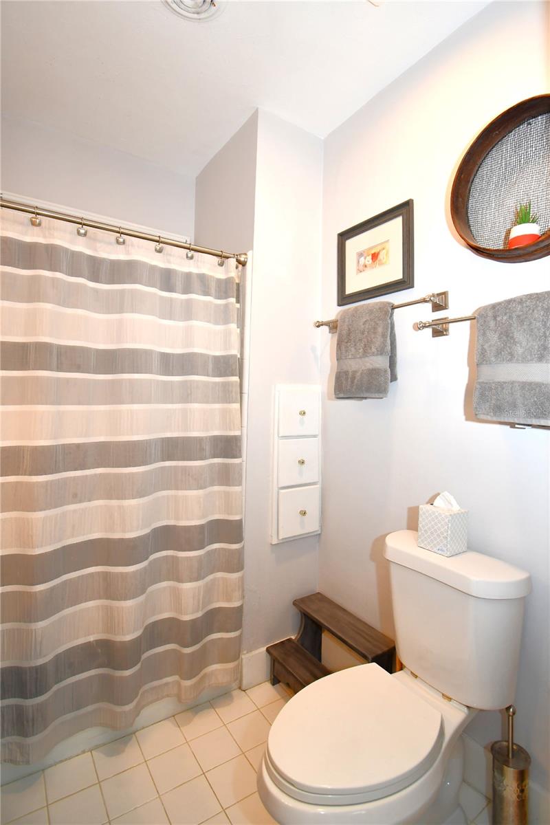1245 N ALEXANDER ST, MOUNT DORA, FL, 32757