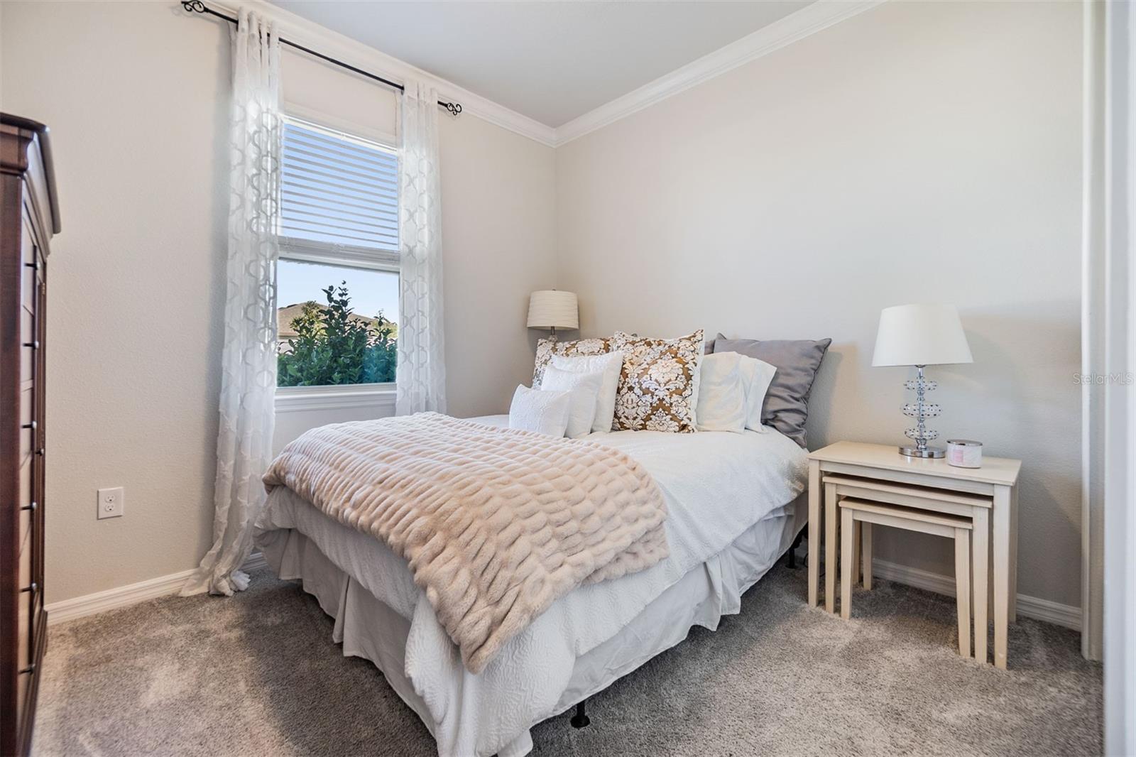 6236 DUTTON DR, WESLEY CHAPEL, FL, 33545
