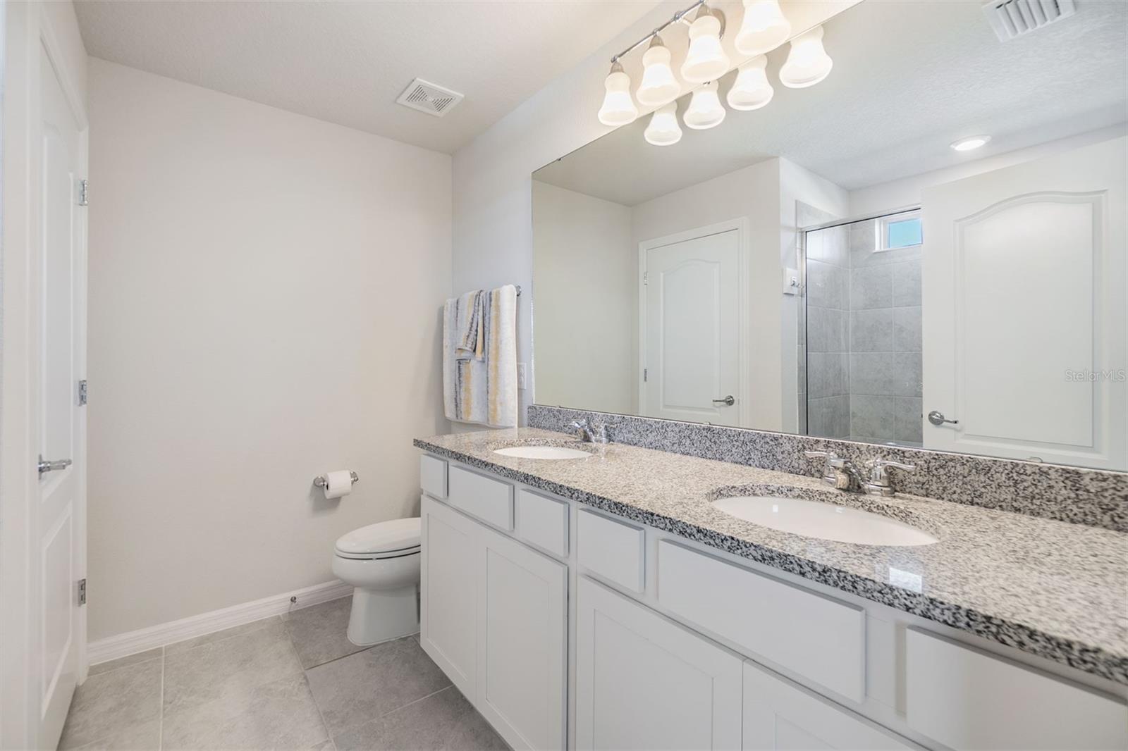 6236 DUTTON DR, WESLEY CHAPEL, FL, 33545