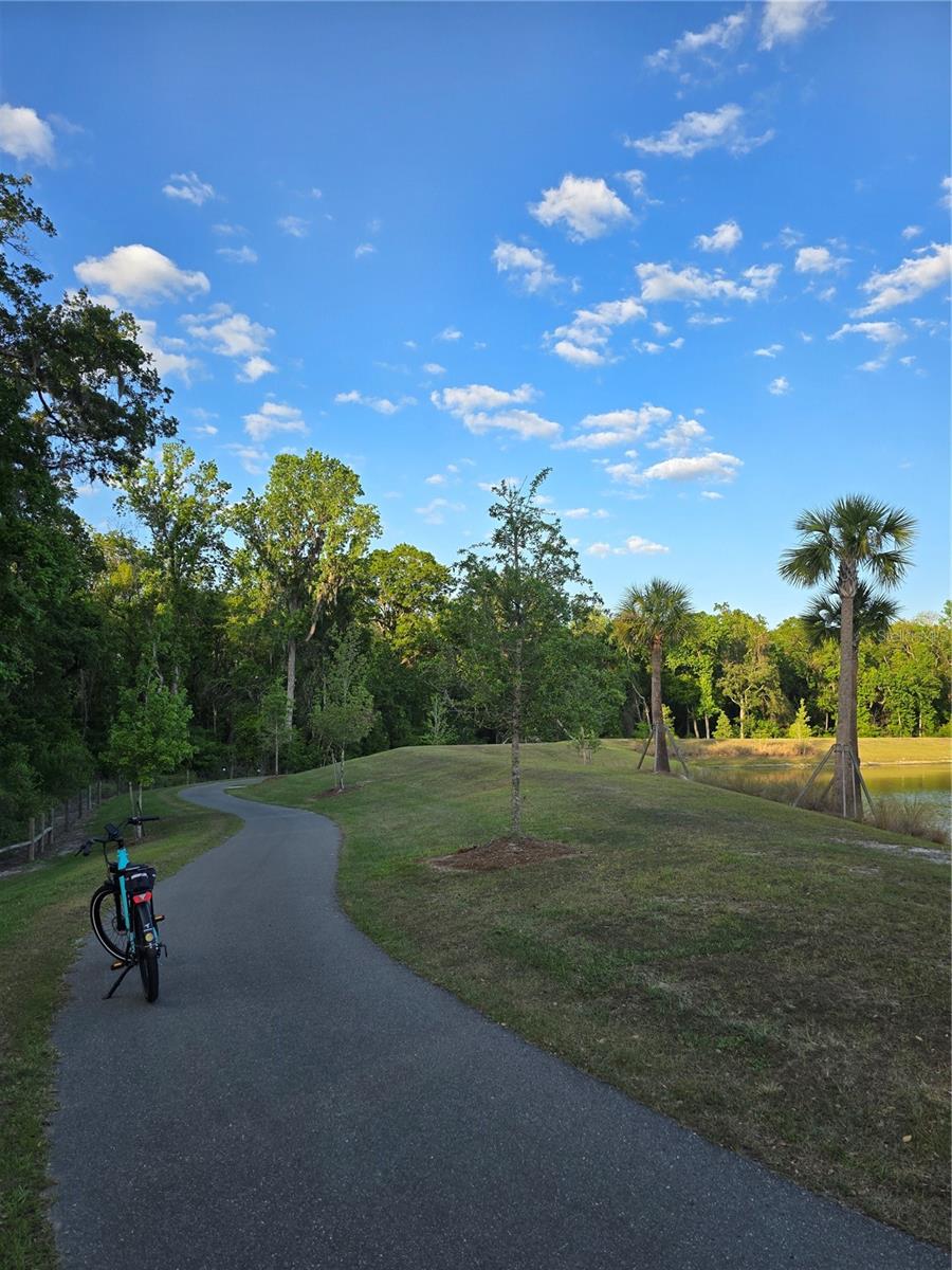 7250 TRUNDLE TER, THE VILLAGES, FL, 34762