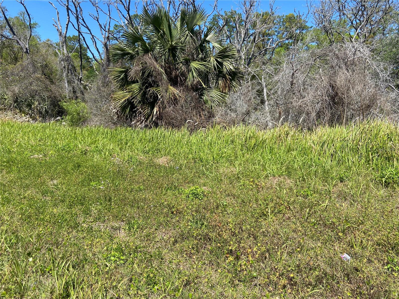 PARCEL 27 15 30 00 00 0200, DE LEON SPRINGS, FL, 32130