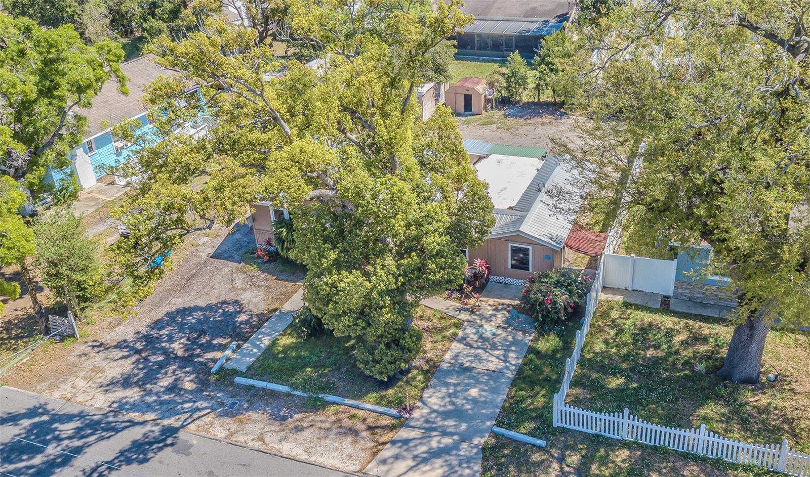 8719 N OLA AVE, TAMPA, FL, 33604