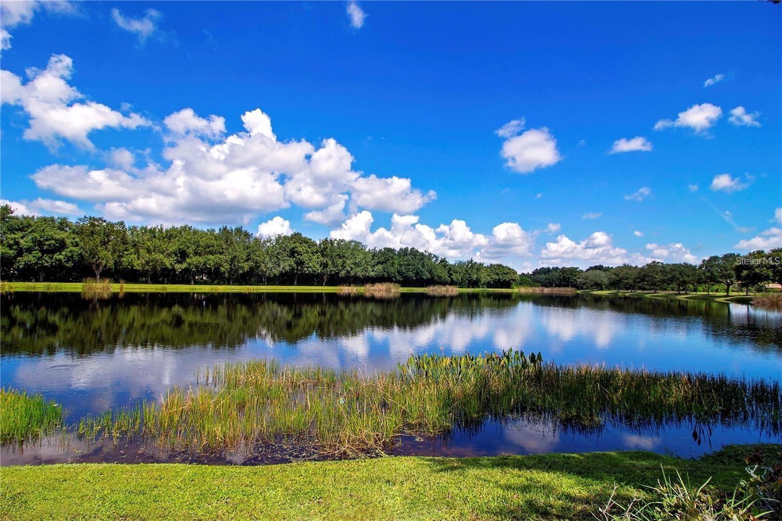 391 SNAPDRAGON LOOP, BRADENTON, FL, 34212