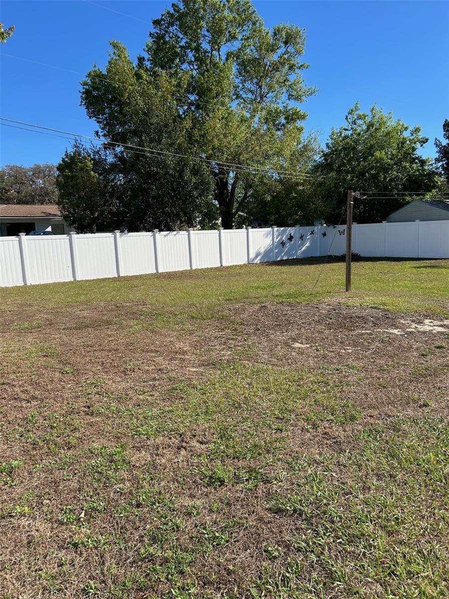 1607 ALAN DR, EUSTIS, FL, 32726
