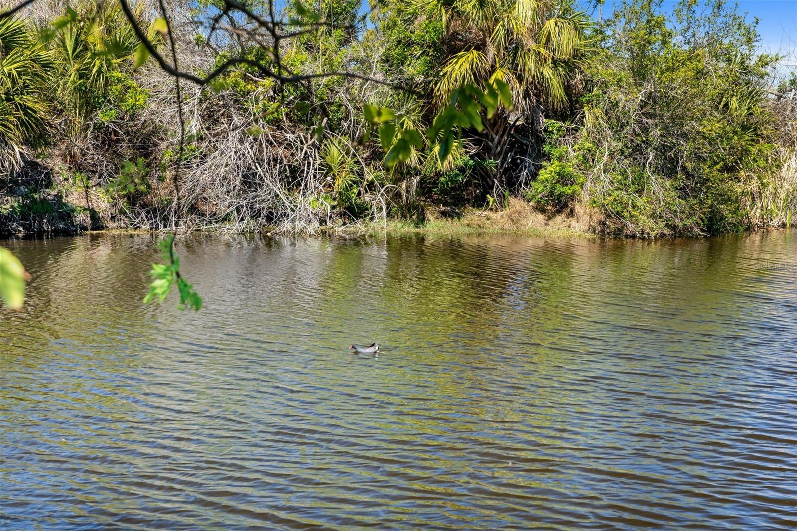 6540 THORMAN RD, PORT CHARLOTTE, FL, 33981