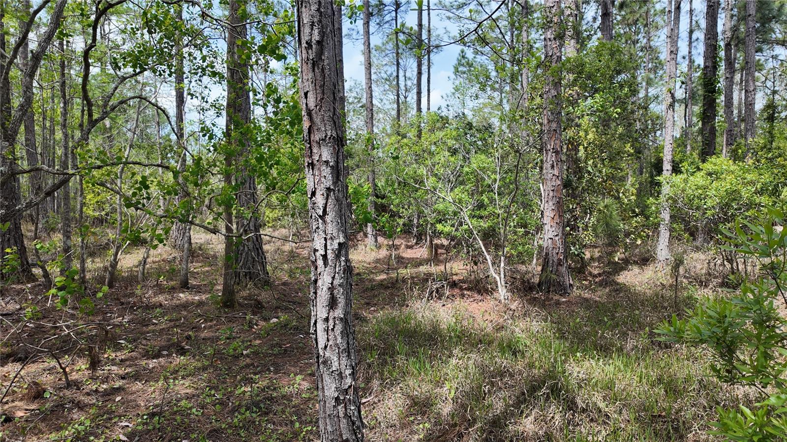 4680 FIR RD, NEW SMYRNA BEACH, FL, 32168