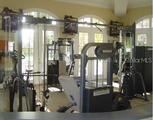 9404 CRESCENT LOOP #203, TAMPA, FL, 33619