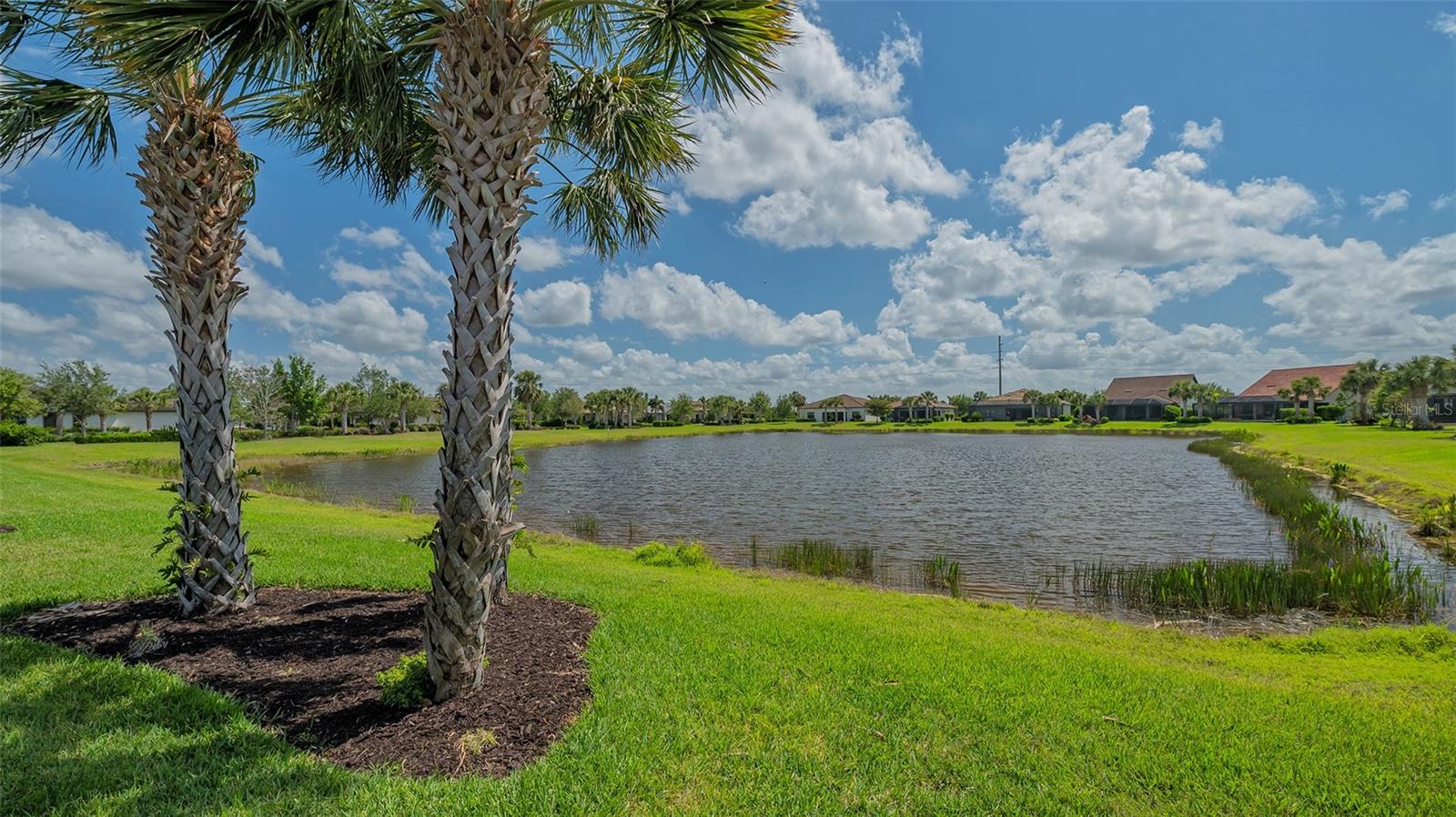 5562 RAIN LILY CT, SARASOTA, FL, 34238
