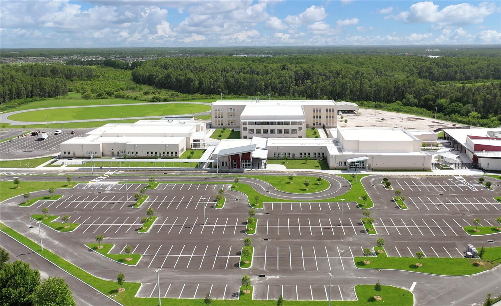 12266 BARN CAT RUN, ODESSA, FL, 33556
