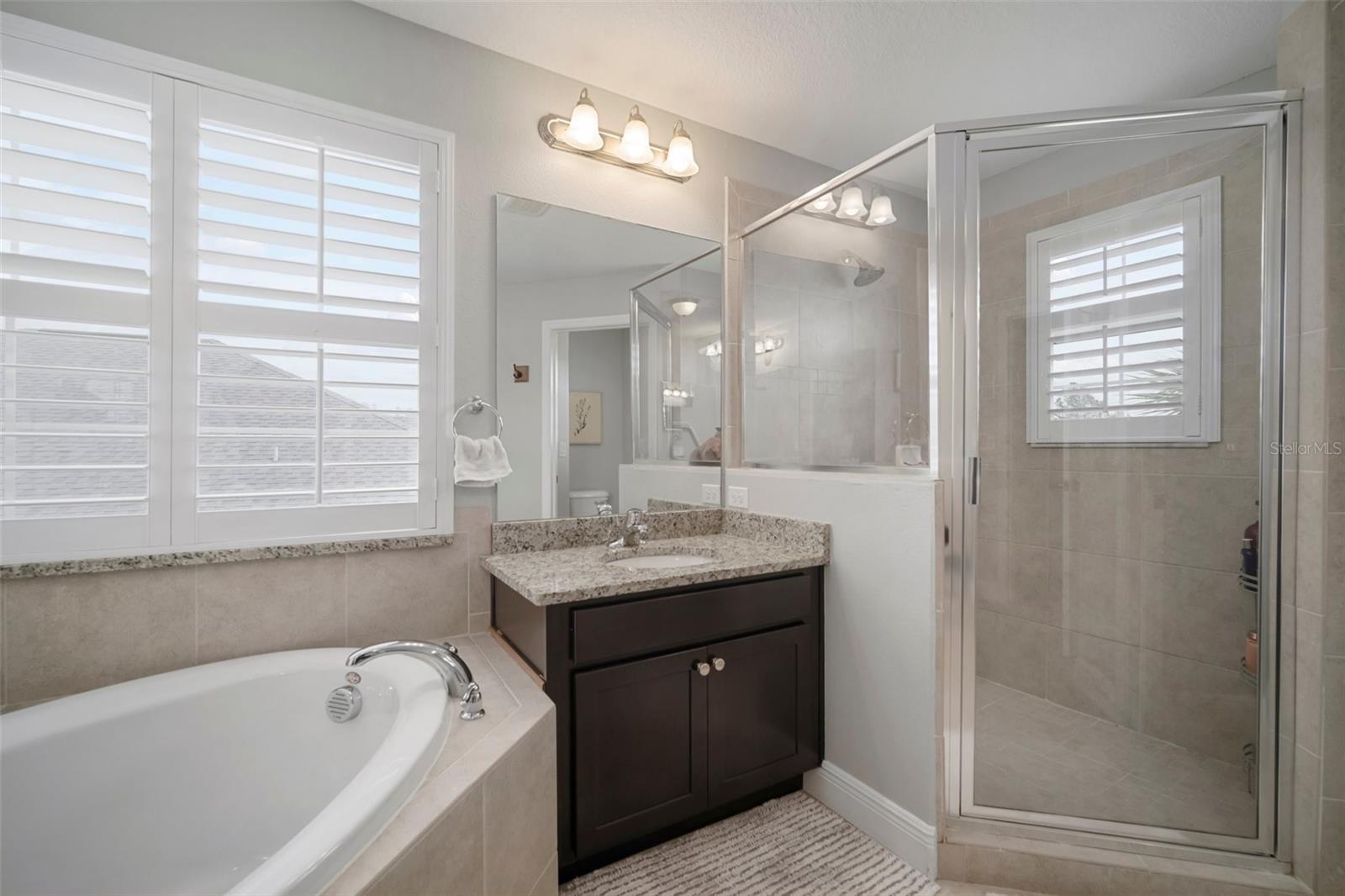 8141 CARLTON RIDGE DR, LAND O LAKES, FL, 34638