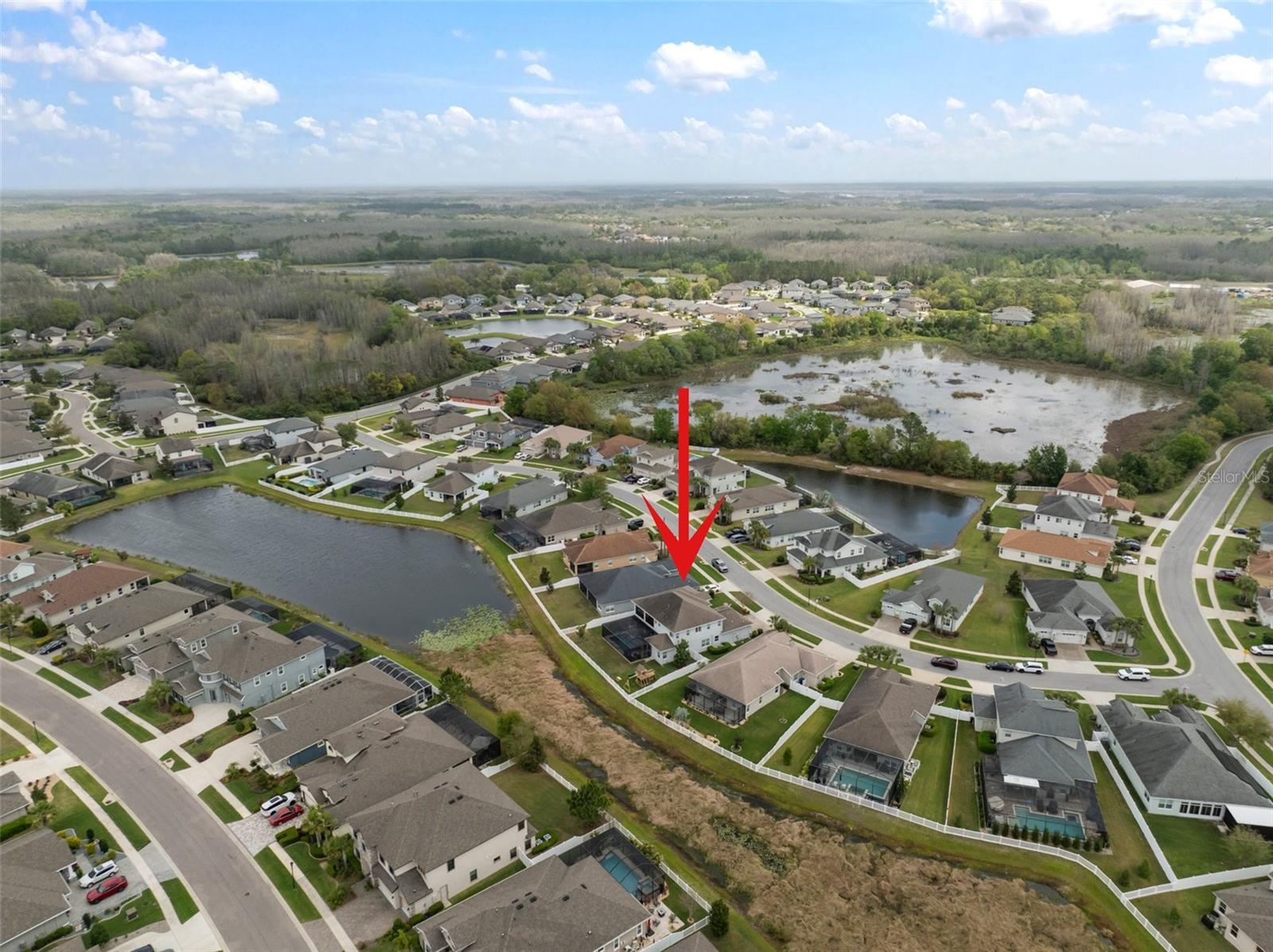 8141 CARLTON RIDGE DR, LAND O LAKES, FL, 34638