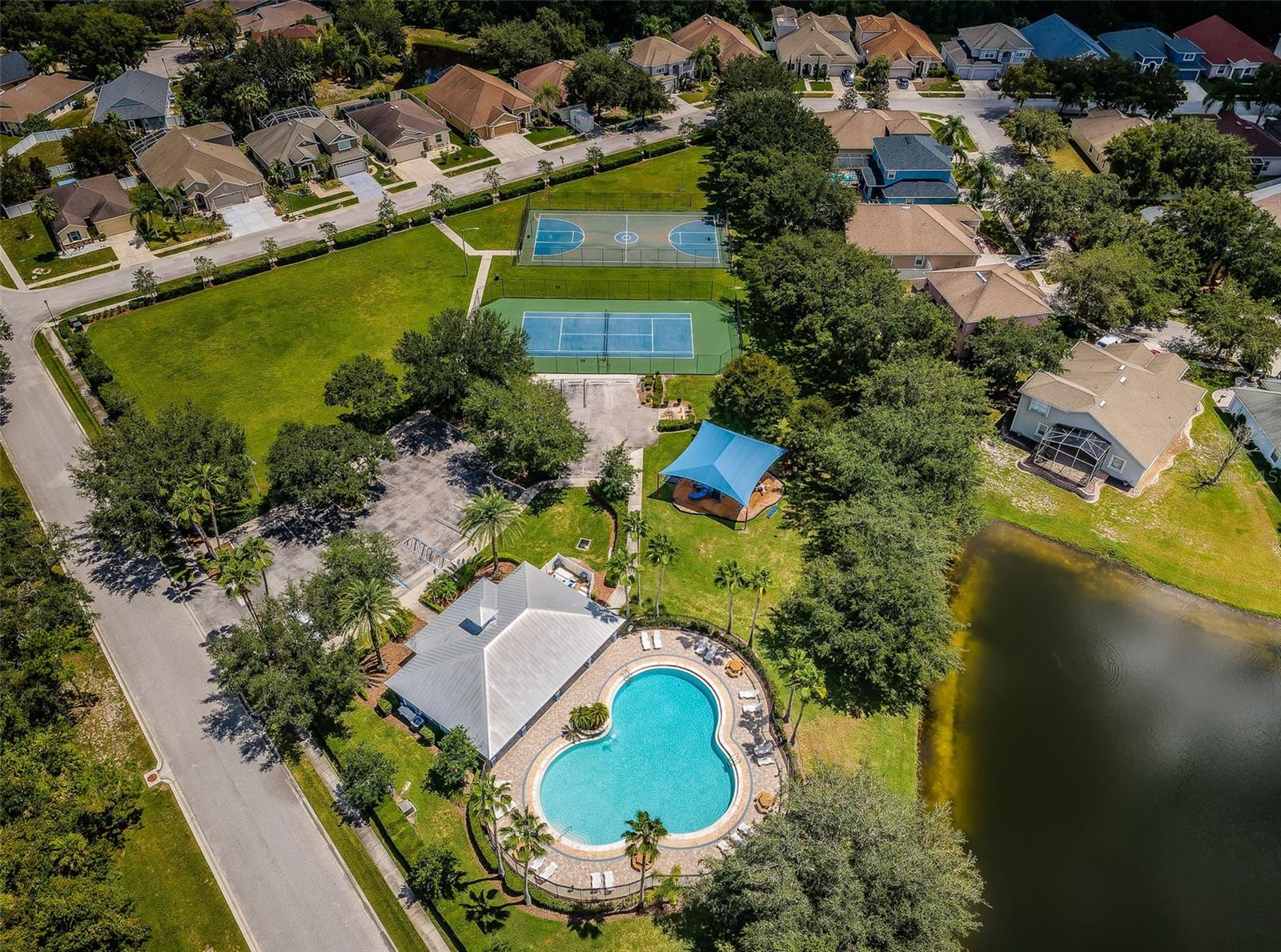15925 POND RUSH CT, LAND O LAKES, FL, 34638