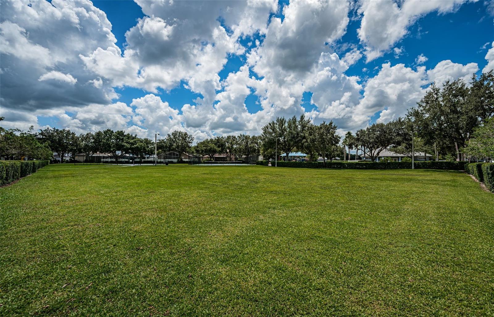 15925 POND RUSH CT, LAND O LAKES, FL, 34638