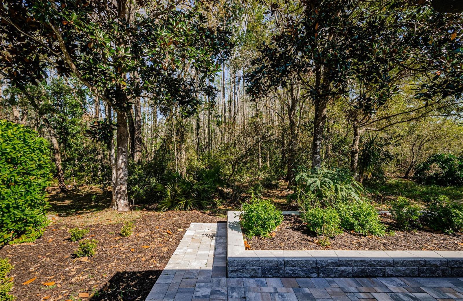 15925 POND RUSH CT, LAND O LAKES, FL, 34638