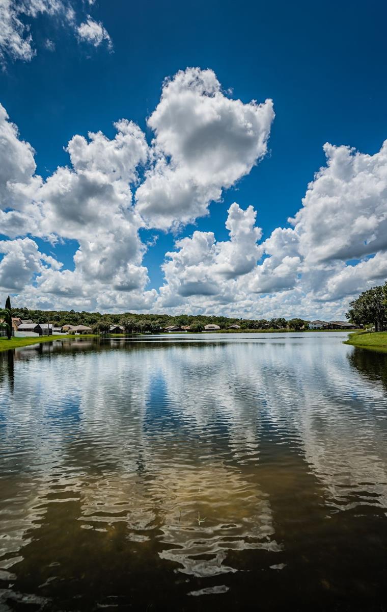 15925 POND RUSH CT, LAND O LAKES, FL, 34638