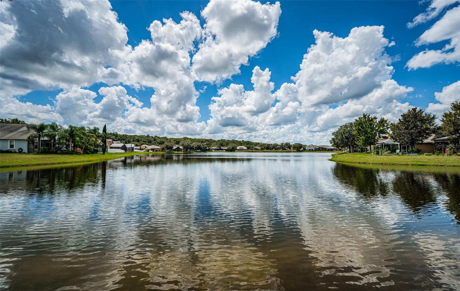 15925 POND RUSH CT, LAND O LAKES, FL, 34638
