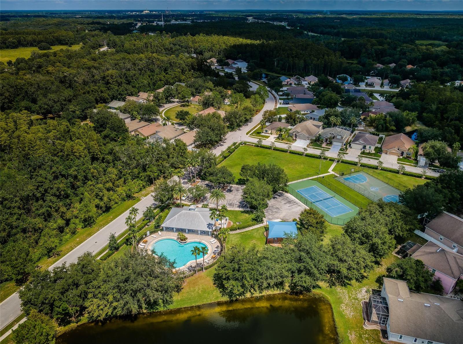 15925 POND RUSH CT, LAND O LAKES, FL, 34638